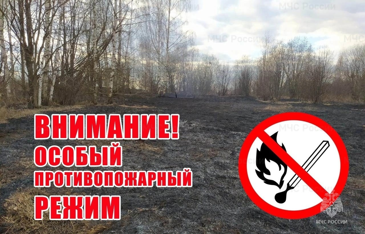 До 16 мая в Башкортостане противопожарный режим. Однако жарить шашлыки можно на своем приусадебном участке в СНТ, на огороде или даче.